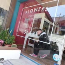 ΑΥΤΟΚΟΛΛΗΤΑ ΤΖΑΜΑΡΙΑΣ FLOWERS | ΦΙΛΟΤΕΧΝΗΣΗ ΒΙΤΡΙΝΑΣ